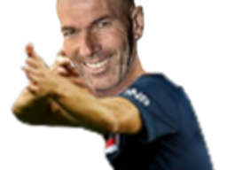 :zidane_shills: