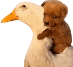 :chiot_canard: