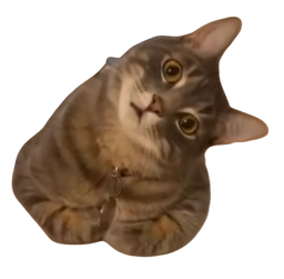 :Chatcoucasse: