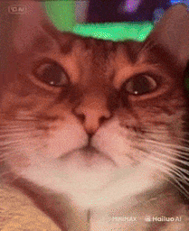 :chatzoomguitare2: