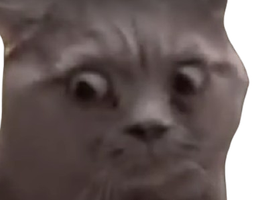 :wut: