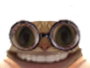 :chat_lunette_gros_sourire: