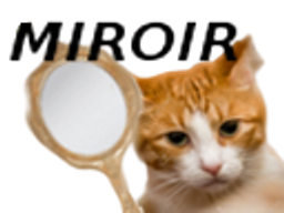 :miror: