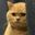 Photo de profil de MaxCat