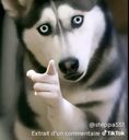 :eruikbj: