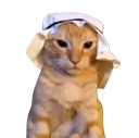 :Chatarabe: