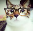 :chat_lunettes2: