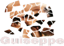 :Tu_es_brise_guiseppe:
