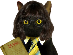 :CIA_CAT: