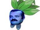 :Mystherbe: