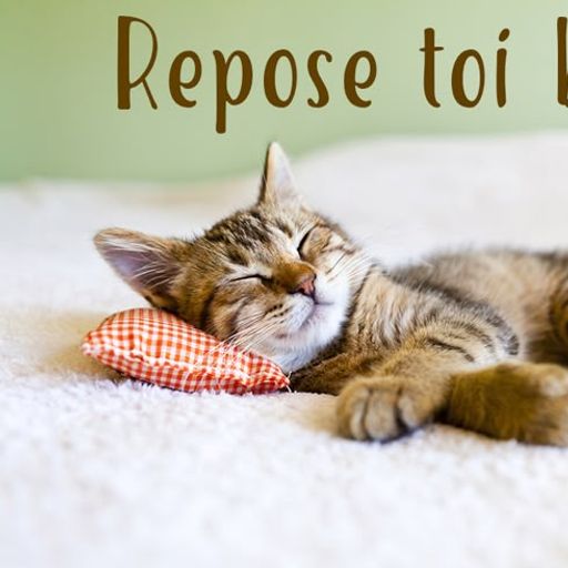 Reposetoi