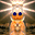 Photo de profil de ForceEtHonneur