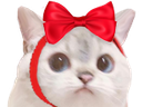 :ChatNoeud: