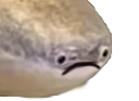 :poissontriste1: