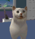 :chat_pas_rassure: