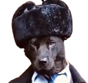 :chienintelligent:
