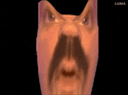 :Aigritin_horizontal: