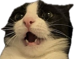 :monchat: