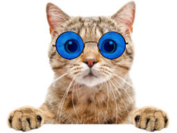 :chat_gentil_lunettes: