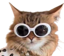 :chat_star: