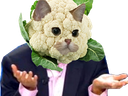 :SodiumChouxfleur: