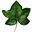 Photo de profil de Hedera