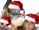 :Poisson_lili: