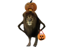 :lion_halloween: