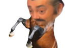 :cheval_risitas: