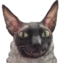 :jolichat:
