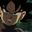 Photo de profil de Goku-Black