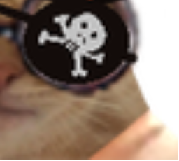 :Chat_Pirate4: