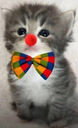 :Chat_clown2: