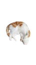 :Chatmort: