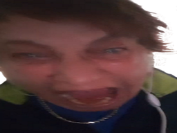 :Lechner_hurle: