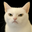 Photo de profil de ChatFache