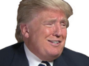 :Donald: