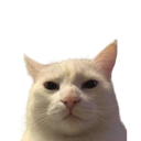 :sus: