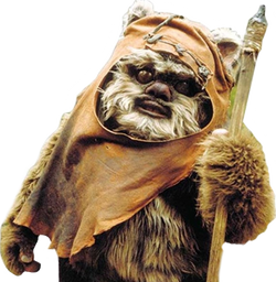 :Wicket: