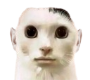 :Chomme: