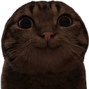 :Chat_marrant_nigga: