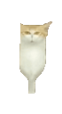 :chatmiroirjump: