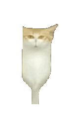:chatmiroirjump: