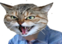 :Chat_rage: