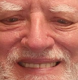 :harold_zoom: