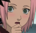 :sakura31:
