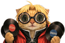 :Edward_chat_lunette_disque: