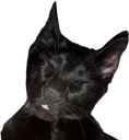 :Spp_minou: