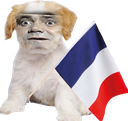 :Chien_Bourdon_France:
