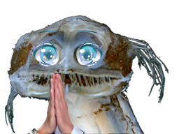 :Poisson_priere: